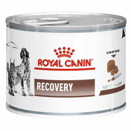 Royal Canin Recovery Húmedo