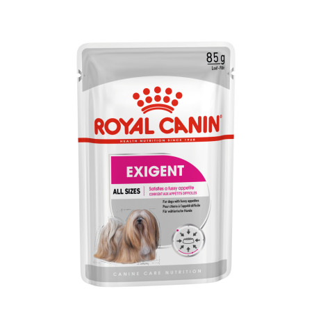 Royal Canin Comida Humeda Exigent